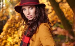 龙门飞甲百度影音